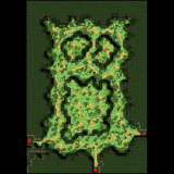 Payon Forest area 8 minimap